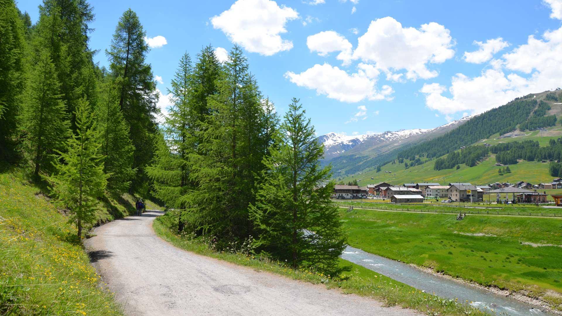 Scopri i paesaggi mozzafiato di Livigno in Valtellina
